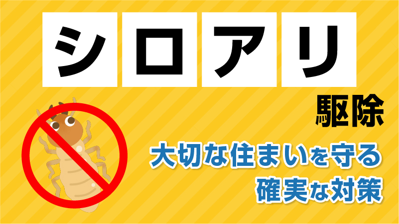 美園ベースのシロアリ駆除