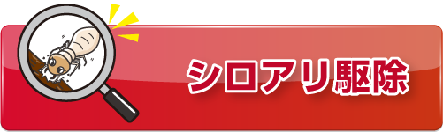 シロアリ駆除