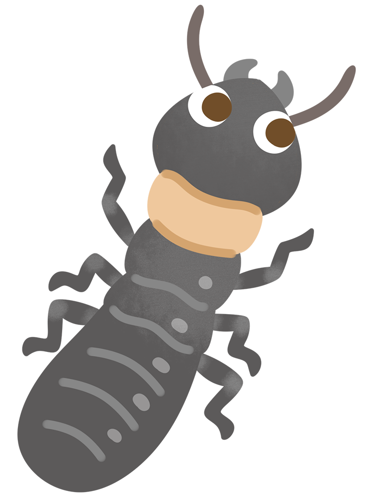 ヤマトシロアリ(羽なし)