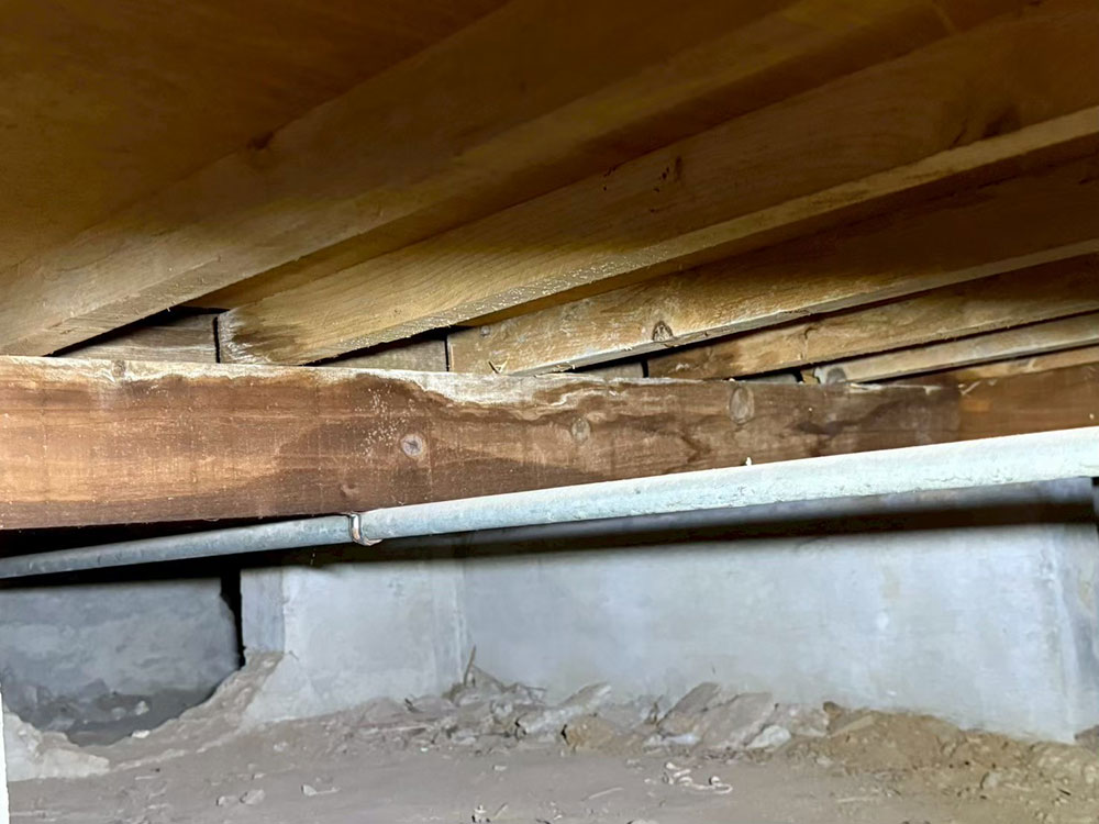 美園ベースの湿気対策 事例