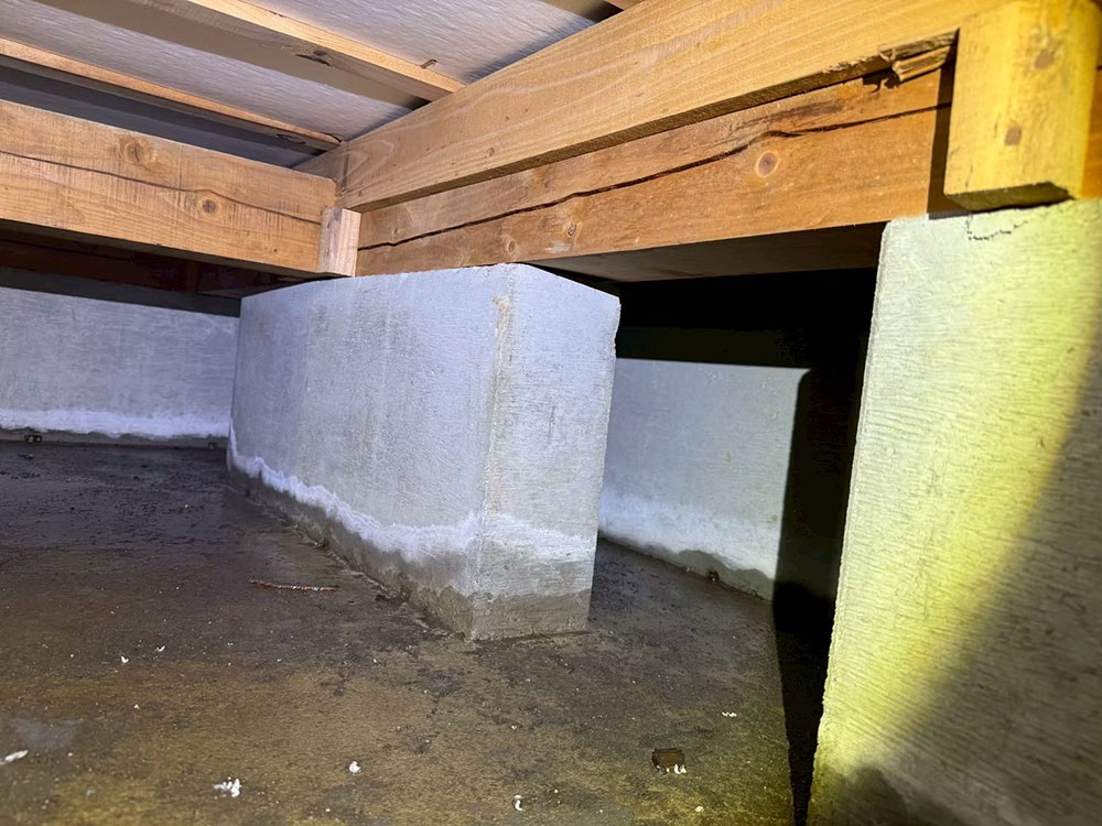 美園ベースの湿気対策 事例