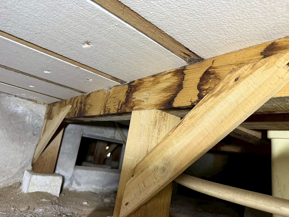 美園ベースの湿気対策 事例